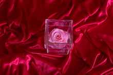 Load image into Gallery viewer, Juliana- Mini Forever Rose
