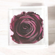 Load image into Gallery viewer, Juliana- Mini Forever Rose
